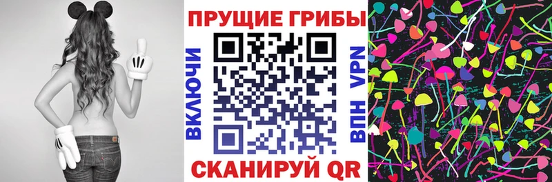 Купить где  Лукоянов  Псилоцибиновые грибы мицелий 